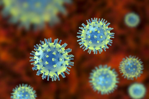 Virus sinh sôi như thế nào trong cơ thể người?