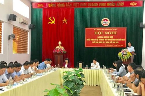 Nông dân Hà Nội đăng ký xây dựng 504 mô hình kinh tế tập thể