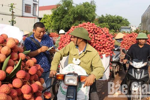 Bắc Giang 'đại thắng' vụ vải thiều 2020