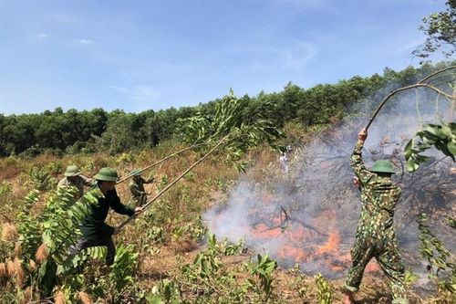 Kịp thời dập tắt đám cháy ở chân núi Bản Đọ