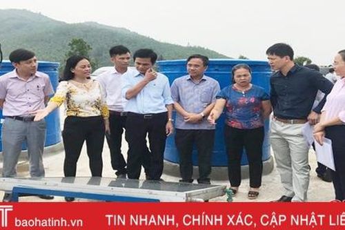 Vị giám đốc nâng tầm nông nghiệp Hà Tĩnh