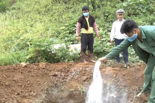 Tiêu hủy 500 kg sản phẩm động vật bị hư hỏng