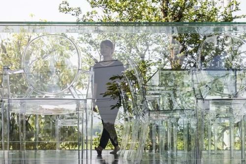 Văn phòng làm việc 'trong suốt' như khối thủy tinh, có một không hai ở Huế