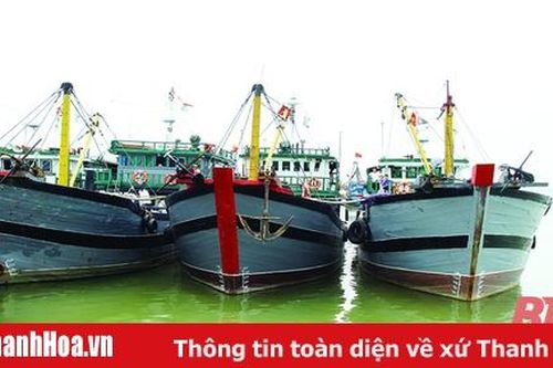 Hiệu quả khai thác xa bờ
