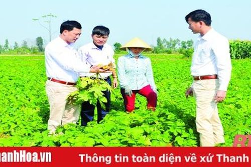 Bài 2: Tích tụ, tập trung đất đai để phát triển nông nghiệp quy mô lớn, công nghệ cao