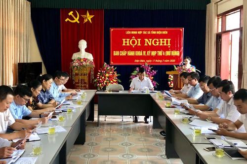 Tốc độ phát triển kinh tế tập thể còn chậm, chưa bền vững