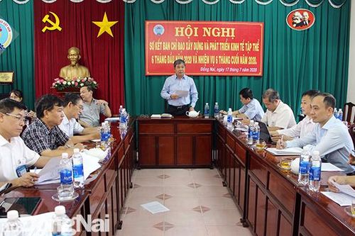 Triển khai giải pháp hỗ trợ các đơn vị kinh tế tập thể