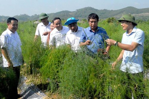 Cán bộ khuyến nông 'nhiều cùng'