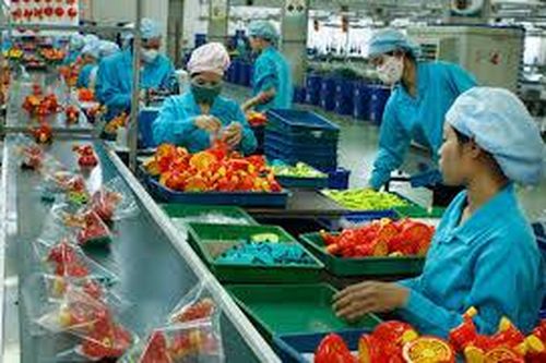 Thực trạng năng suất lao động của Việt Nam và một số giải pháp tăng năng suất lao động