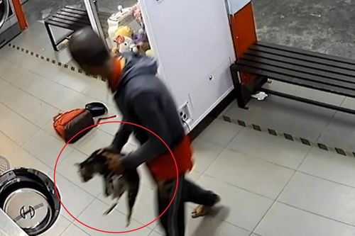Người đàn ông bị bắt sau khi bỏ 3 chú mèo vào máy giặt