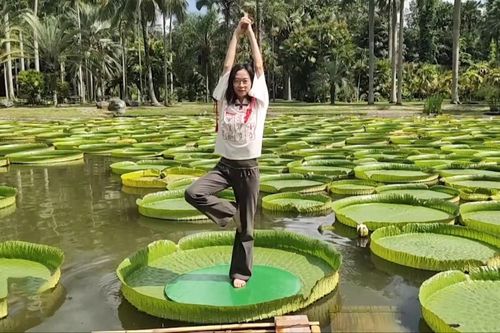 Tập yoga trên lá cây hoa súng lớn nhất thế giới