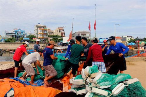 'Nhạt' vị Lý Sơn