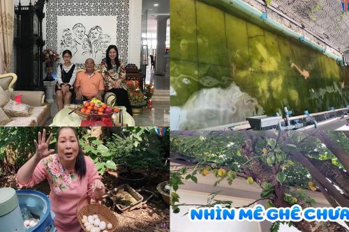 NSND Hồng Vân hé lộ biệt thự rộng lớn có khế trăm tuổi, cá trê 'thành tinh' giữa Sài Gòn