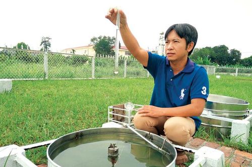 Những người ''trông nắng, trông mưa''
