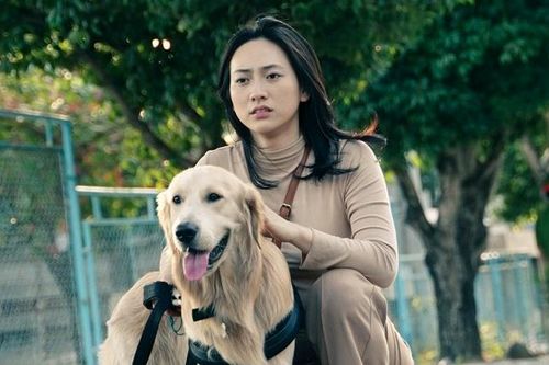 'Điện ảnh Việt thiếu tài tử, minh tinh'