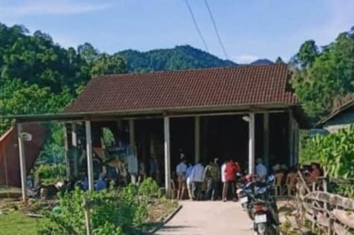 Người đàn ông tử vong khi trèo cây lấy mật ong