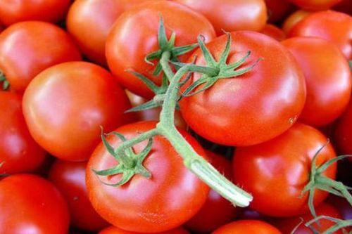 Trồng loại cà chua ăn vào giảm căng thẳng và sợ hãi
