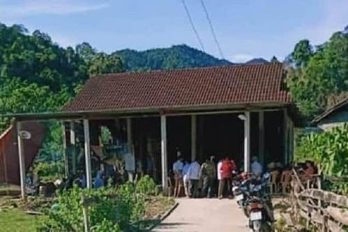 Hà Tĩnh: Ngã tử vong khi vào rừng lấy mật ong