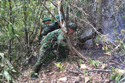 Xảy ra cháy rừng tại Thanh Chương (Nghệ An)