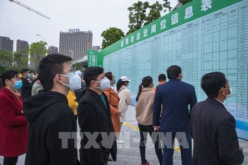 Chủ tịch Microsoft: 250 triệu người sẽ mất việc trong năm 2020