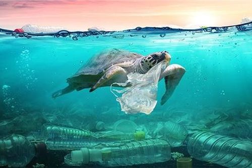 Ô nhiễm rác nhựa: Đừng đổ tại bao bì