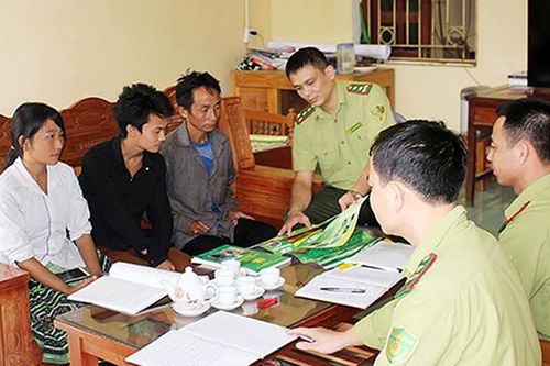 Các địa phương chủ động phòng, chống cháy rừng