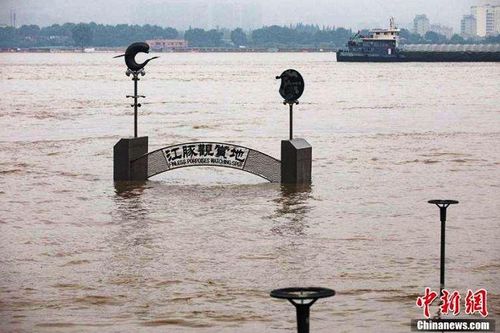 Mức triều tại sông Trường Giang đạt 10,31m, cao nhất lịch sử