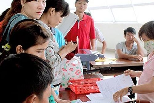 Viên chức sẽ bị cắt hợp đồng làm việc trong trường hợp nào?
