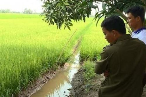 Hai người tử vong do dùng điện bẫy chuột