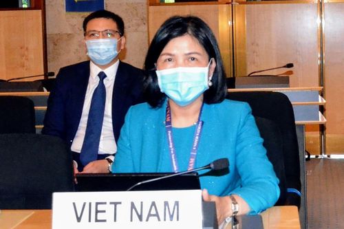 Việt Nam cam kết bảo vệ và thúc đẩy quyền con người