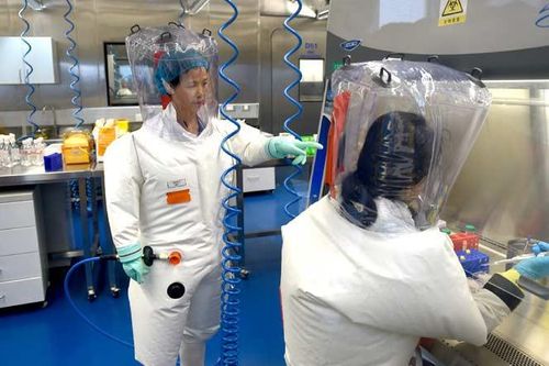 Viện Virus học Vũ Hán thiếu nhân lực trầm trọng
