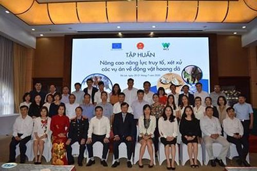 Nâng cao năng lực truy tố, xét xử các vụ án về động vật hoang dã