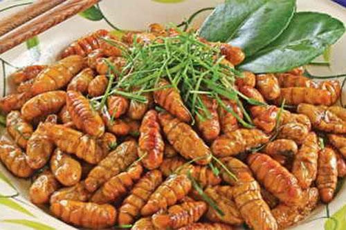 Cách chế biến món ngon từ nhộng tằm
