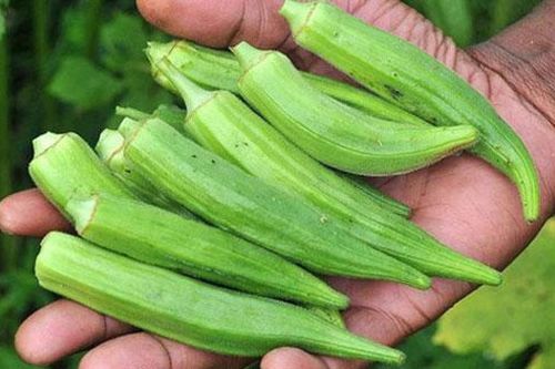 Không chỉ ngon và rẻ, đây còn là 'thần dược' chữa 'bách bệnh' bạn không nên bỏ qua