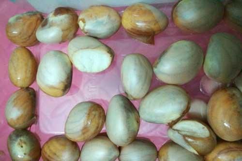 Lợi ích không ngờ từ loại hạt mà nhiều người Việt vẫn vứt đi, vô tình ném bỏ 'thần dược' vào thùng rác