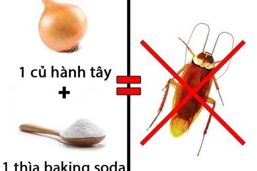 Lấy dao cắt ngang củ hành tây rồi đặt đúng chỗ này, đảm bảo gián 'khiếp vía', không bao giờ dám quay lại