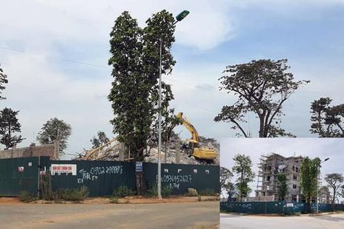 Thanh Hóa: Phá dỡ biệt thự không phép giữa lòng thành phố