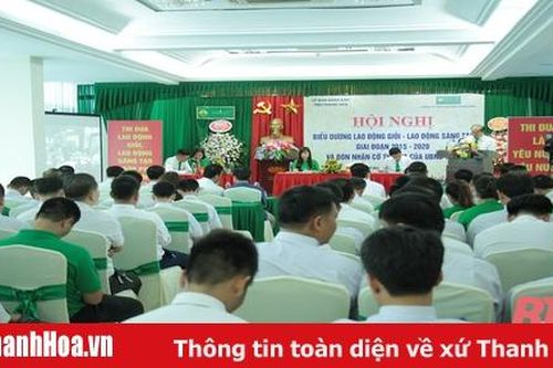Công ty TNHH Mai Linh Thanh Hóa biểu dương 'lao động giỏi, lao động sáng tạo'