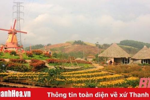 Du lịch kết hợp với nông nghiệp: Một giải pháp bảo vệ môi trường