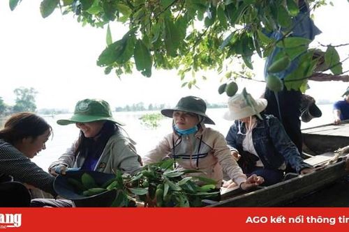 Nỗ lực tạo 'sức hút' cho du lịch Phú Tân
