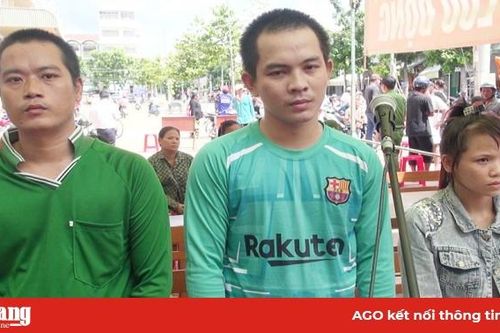Hám lợi, vợ chồng 'hờ' lãnh án