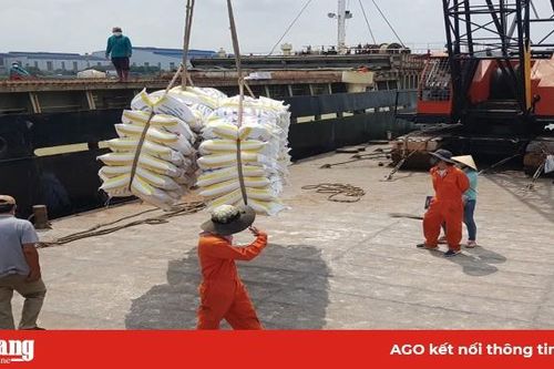 Tăng cường khai thác thị trường xuất khẩu