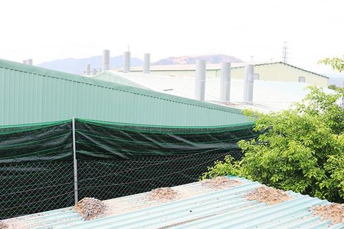 Chủ tịch UBND tỉnh Khánh Hòa chỉ đạo xử lý nghiêm cơ sở sản xuất gây ô nhiễm