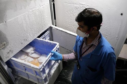 COVID-19: Xuất hiện 'chợ đen' huyết tương từ bệnh nhân hồi phục ở Ấn Độ