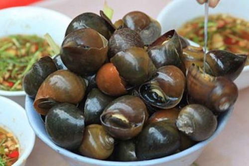4 món ăn thuốc từ ốc nhồi