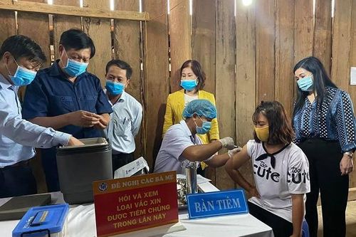 14 người tử vong do chó dại cắn, đã có 16 ổ dịch bạch hầu ở Tây Nguyên