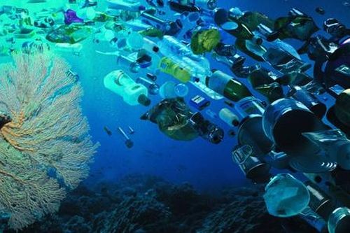 Tại sao dành 2 phút mỗi ngày có thể cứu thế giới khỏi rác nhựa?