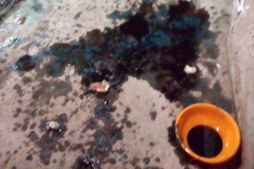 Khởi tố vợ chủ tàu cá đổ chất bẩn lên đầu người nợ tiền