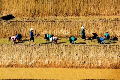 Vị mặn mòi của những giọt mồ hôi