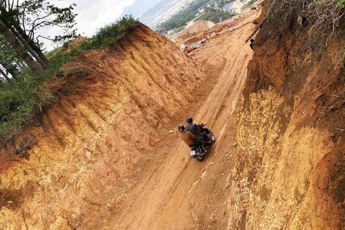 Buộc khôi phục đồi thông bị xẻ làm đường khai thác khoáng sản